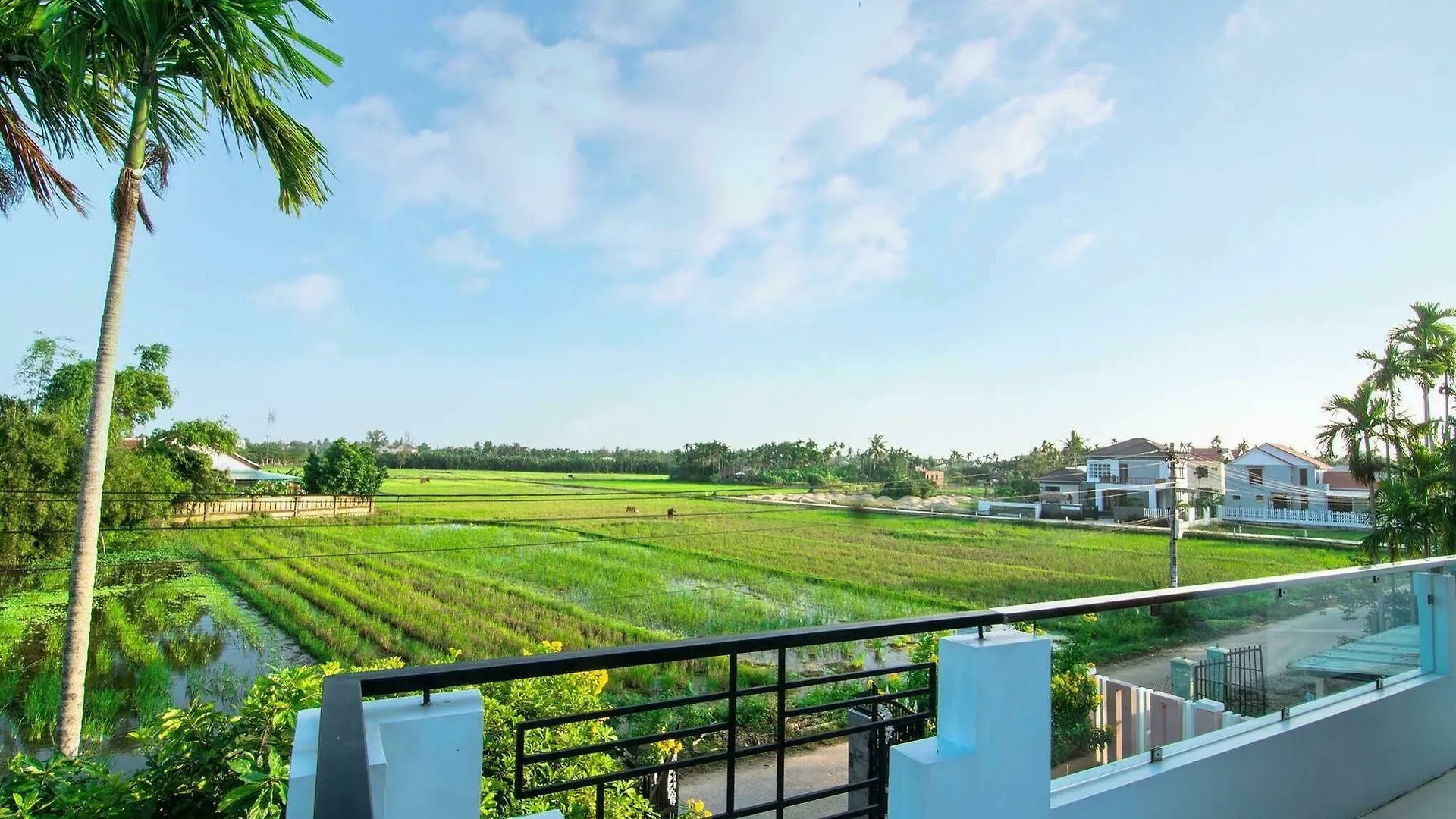 The Field Homestay Hoi An