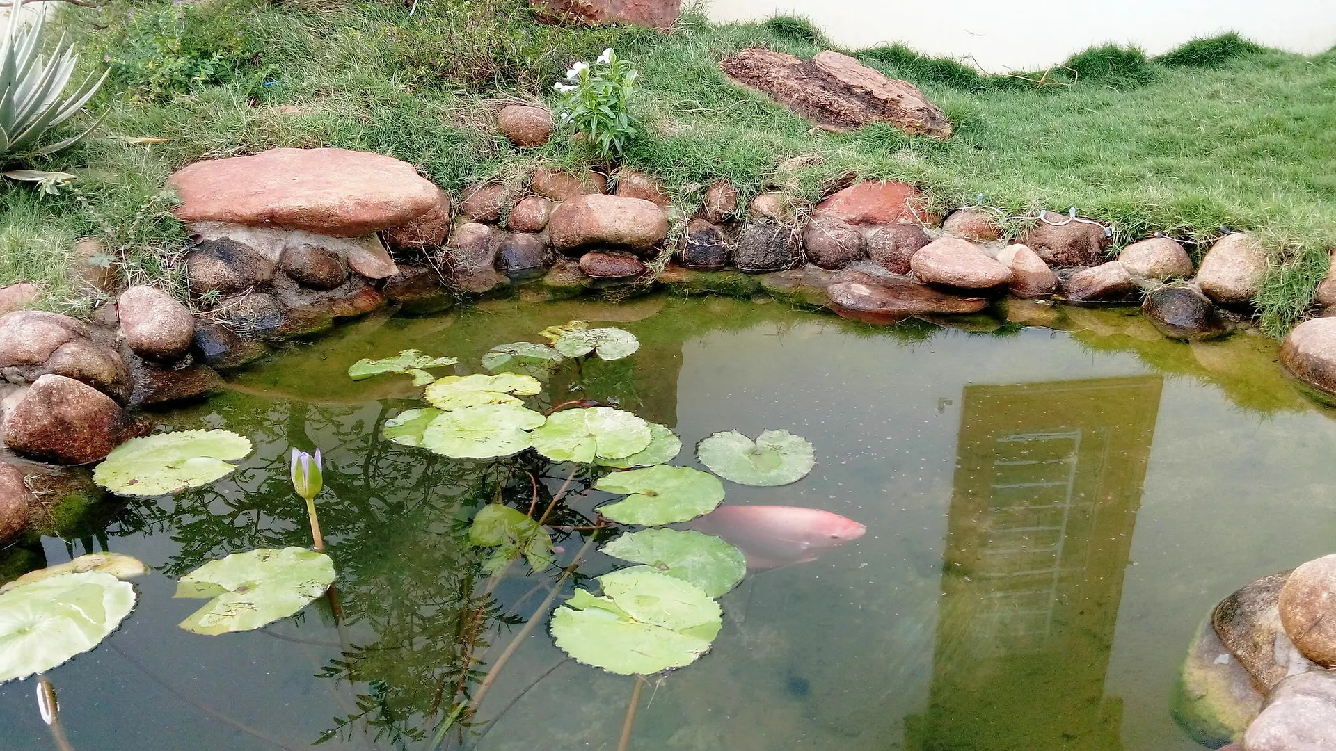 The Field Homestay Hoi An Vietnam