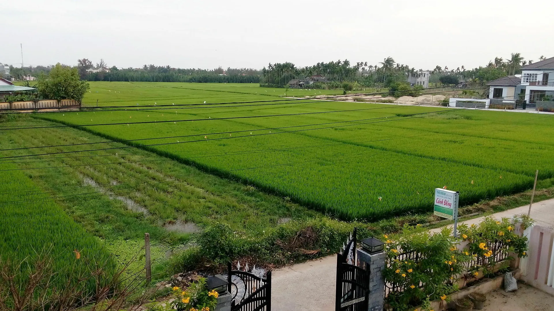 The Field Homestay Hoi An