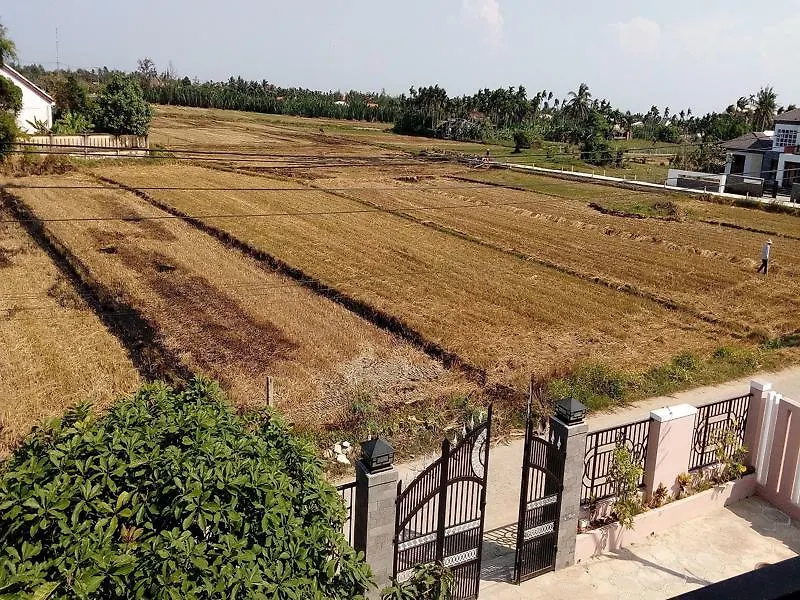 The Field Homestay Hoi An Vietnam