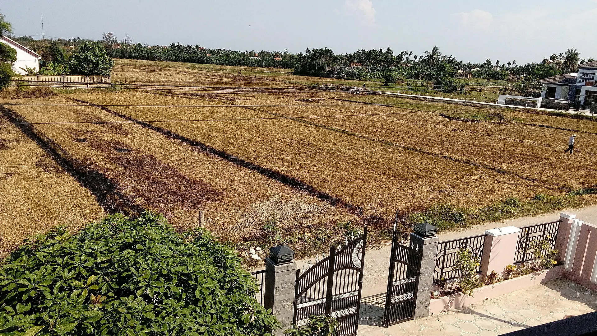 The Field Homestay Hoi An